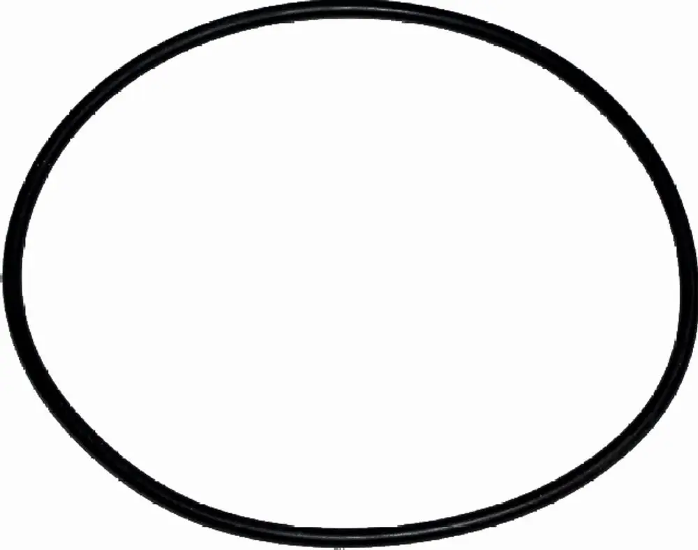 Schwarzer O-Ring in runder Form, geeignet für Gasbrennwertkessel der Marke Wolf. Verwendet zur Abdichtung in technischen Anwendungen.
